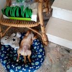 Thomas Spadaccini - @thomasspadaccini - Instagram