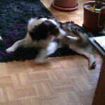 Thomas Spatz - @thomas_spatz - Instagram