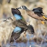 Thomas Speed - @tom_outdoors32 - Instagram