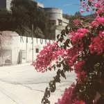 Thomas Speight - @thomasspeight - Instagram