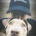 Thomas Squires - Facebook
