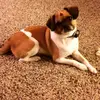 Tommy Stackpoole - @tommystackpoole - TikTok