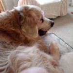 Thomas Stalker - @thomas.stalker.5 - Instagram