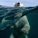 Thomas James Stammers - @thomasstammers - Instagram