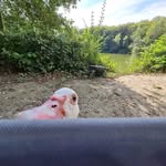Thomas Stamm - @thomas.stamm.921 - Instagram