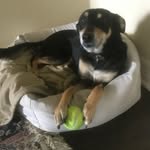 Thomas Stamper - @thomas_stamper123 - Instagram