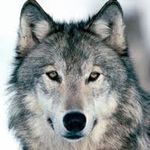 Thomas Stansberry - @thomas.stansberry.5 - Instagram