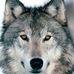 Thomas Stansberry - Facebook