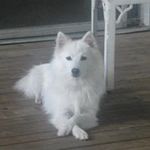 Thomas Stapp - @stappthomas - Instagram