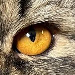 Thomas Stappert - @thomasstappert - Instagram