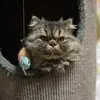thomasstappert712 - @thomasstappert712 - TikTok
