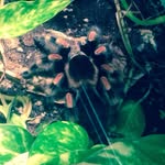 Thomas Stauder - @nature_boost3 - Instagram