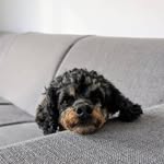 Thomas Stauder - @stauderthomas - Instagram