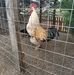 Thomas Stauder - Facebook
