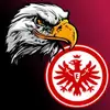 Thomas Steckann462 - @thomassteckann462 - TikTok