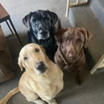 Thomas k Stecker - @thomaskstecker - Instagram
