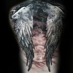 Thomas  Stehr - @stehr84 - Instagram
