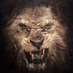 Thomas Stehr - @thomasnlw - Instagram