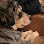 Jackson Thomas Stenson - @jackson.stenson - Instagram