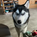 Thomas Stier - @thomasstier63 - Instagram