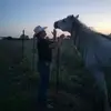 THOMAS STINSON - @thomas.stinson - TikTok