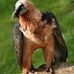 Thomas Stites - Facebook