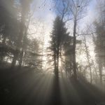 Thomas Stoltz - @swisstoltz - Instagram