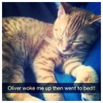 Thomas Strait - @moccasti - Instagram