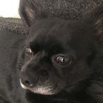Thomas Stratford - @stratford_thomas - Instagram