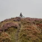 Thomas stringer - @thomasstringerer - Instagram
