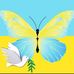 Thomas Strobel - Facebook