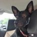 Tom Stubblefield - Facebook