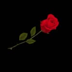 thomas stuckey - @thomas_stuckey55 - Instagram