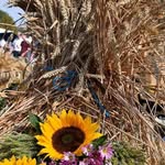 Thomas Sutter - @sutter_thomas - Instagram