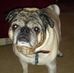Thomas Swindle - Facebook