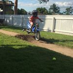 Thomas Taaffe - @little_dylan - Instagram