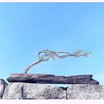 Thomas Taaffe - @tomtaaffecrafts - Instagram