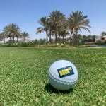 Thomas Tauber - @taubenuss1980 - Instagram