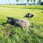 Thomas Tempel - @thomastempel2006 - Instagram