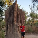 Thomas Tennyson - @thomas.tennyson.12 - Instagram