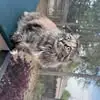 thomastennyson25 - @thomas.tennyson24 - TikTok