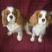 Tommy Tennyson - Facebook