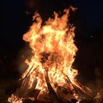 Thomas Teschke - @teschkethomas - Instagram