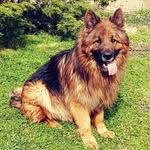 William Thomas Tester - @tommyt1964 - Instagram