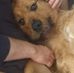 Thomas Thatcher - Facebook