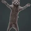 thomasthatcher4 - @thomasthatcher4 - TikTok