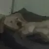 Thomas Thibert - @thomasthibert - TikTok