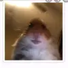 Thomas Thibodeau935 - @thomasthibodeau2 - TikTok
