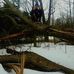 Tommy Thivierge - Facebook