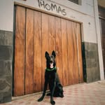 Thomas - @thomas_thomason24 - Instagram